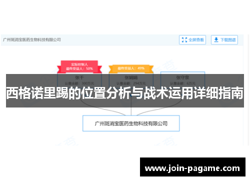 西格诺里踢的位置分析与战术运用详细指南