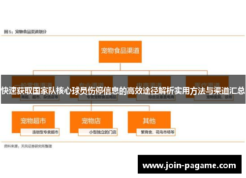快速获取国家队核心球员伤停信息的高效途径解析实用方法与渠道汇总