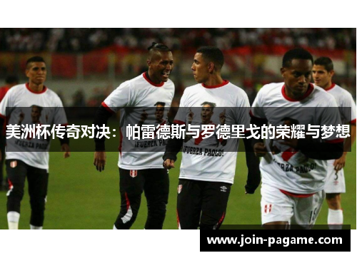 美洲杯传奇对决：帕雷德斯与罗德里戈的荣耀与梦想